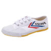 Feiyue Canvas Shoes white